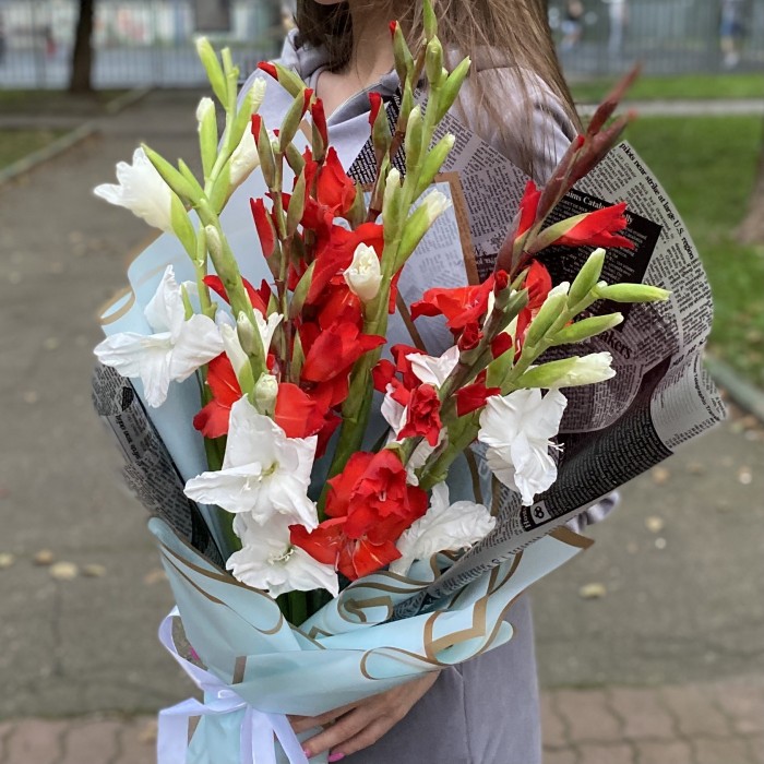 9 белых и красных гладиолусов