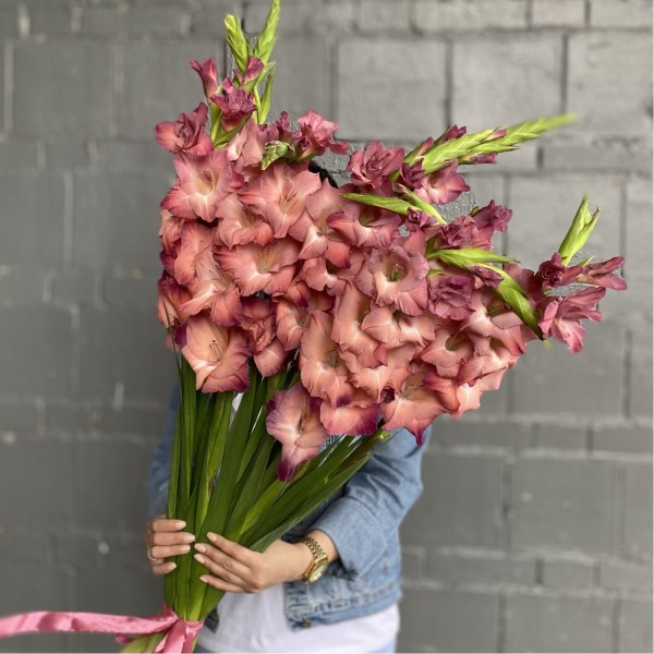 9 розово-фиолетовых гладиолусов