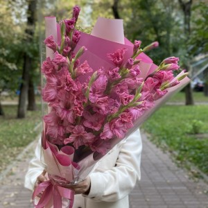 9 розовых гладиолусов 9 розовых гладиолусов