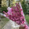 9 розовых гладиолусов