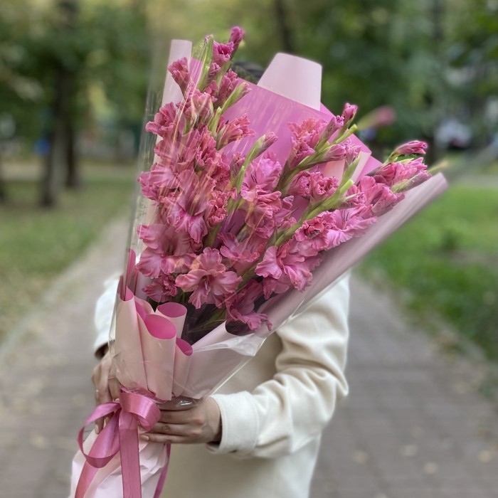 9 розовых гладиолусов
