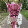 9 розовых гладиолусов