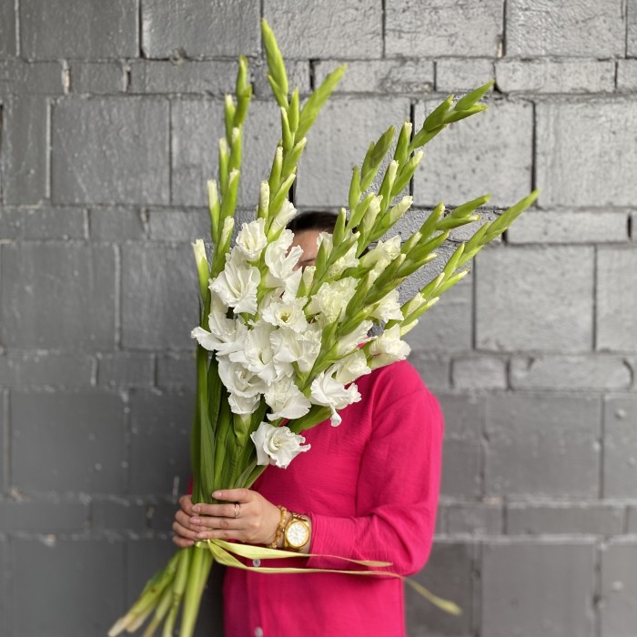 Гладиолус белый