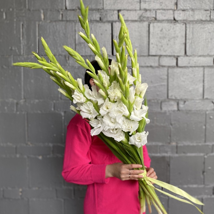 Гладиолус белый