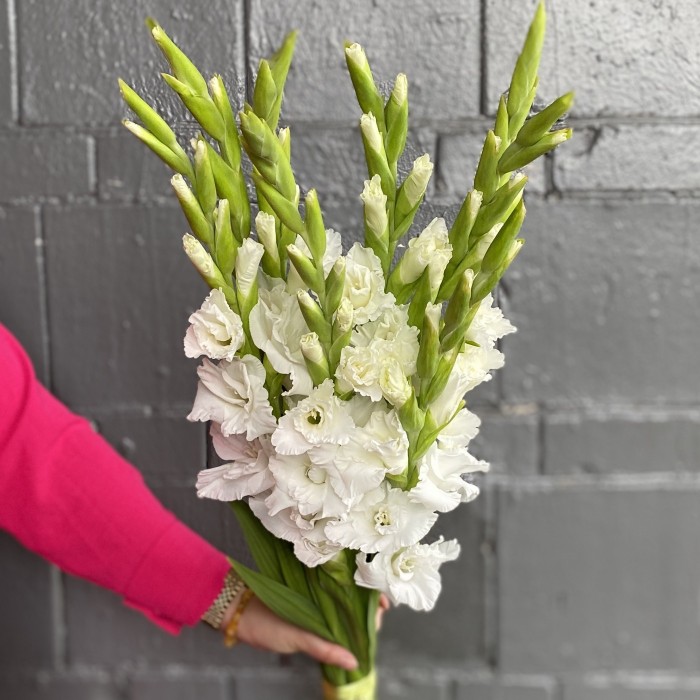 Гладиолус белый