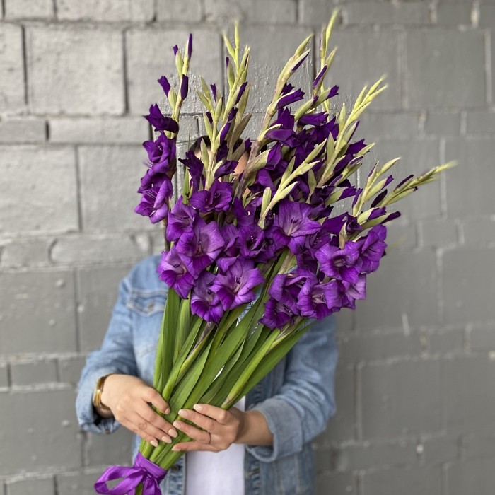 Гладиолус темно-фиолетовый