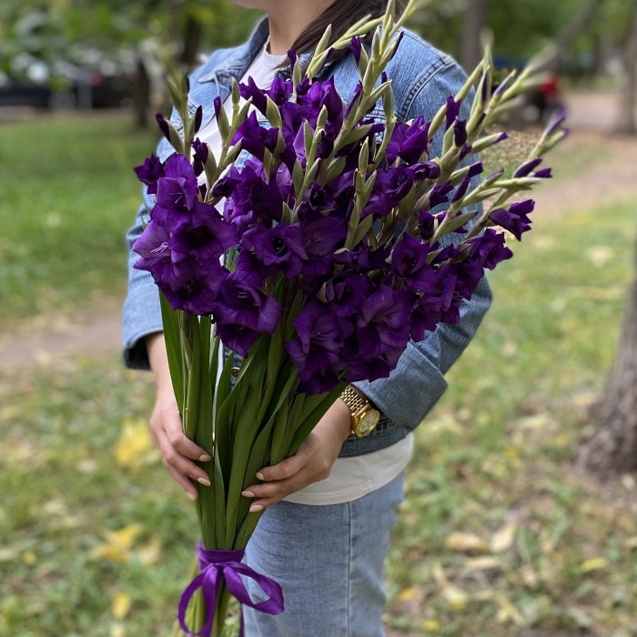 Гладиолус темно-фиолетовый