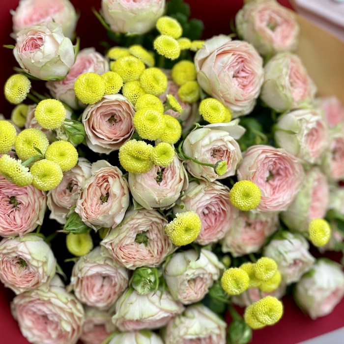 Пионовидная роза Файнест Кэтти и танацетум