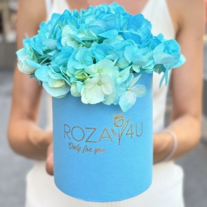 Голубая гортензия в коробке