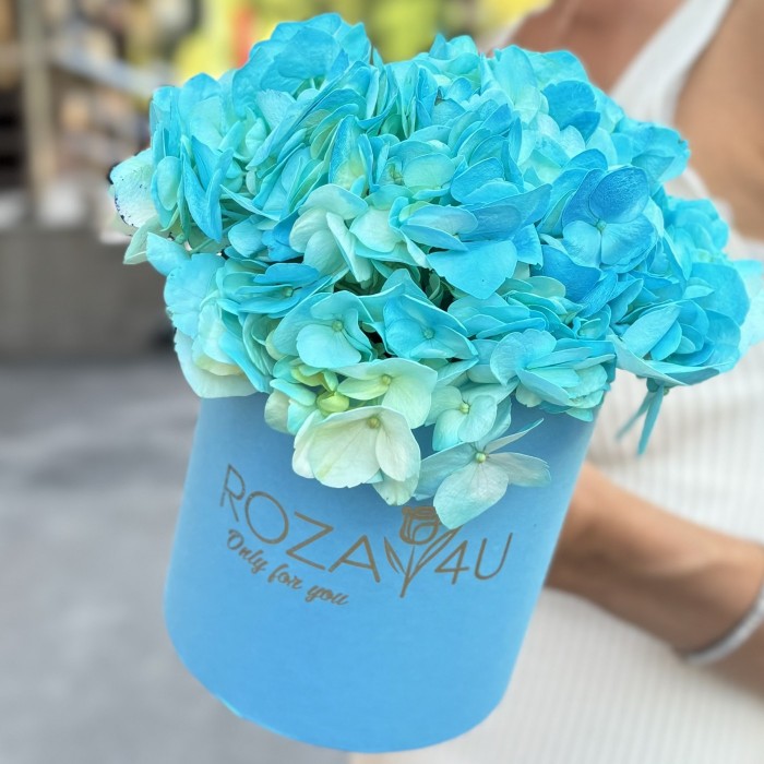 Голубая гортензия в коробке