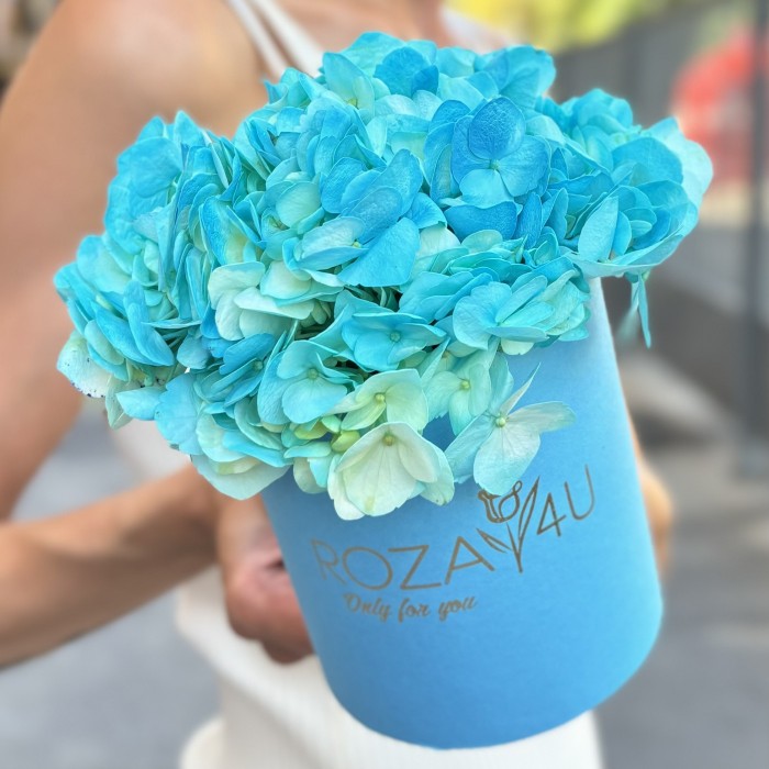 Голубая гортензия в коробке