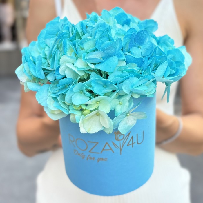 Голубая гортензия в коробке