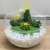Флорариум с кактусами и суккулентами