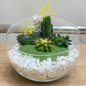 Флорариум с кактусами и суккулентами