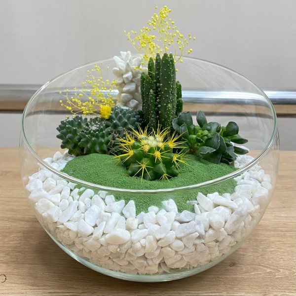 Флорариум с кактусами и суккулентами