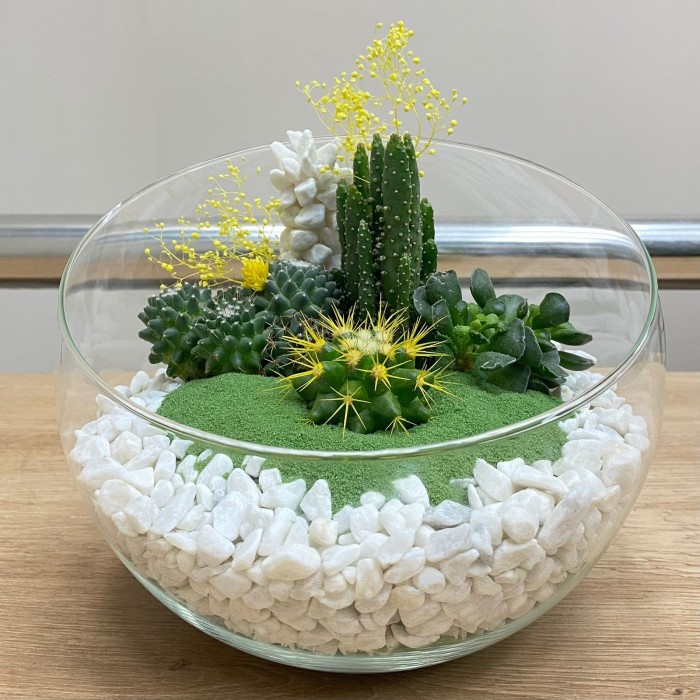 Флорариум с кактусами и суккулентами