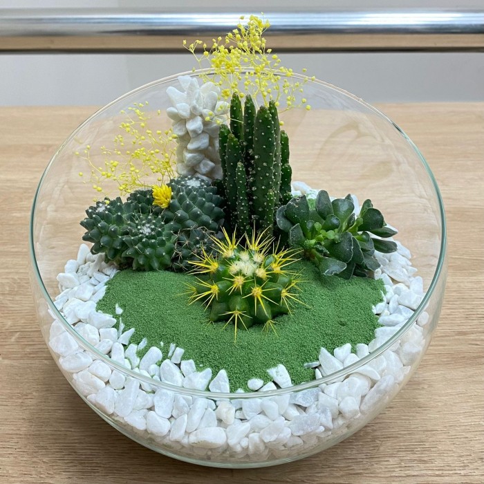 Флорариум с кактусами и суккулентами