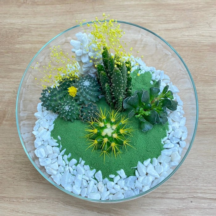 Флорариум с кактусами и суккулентами