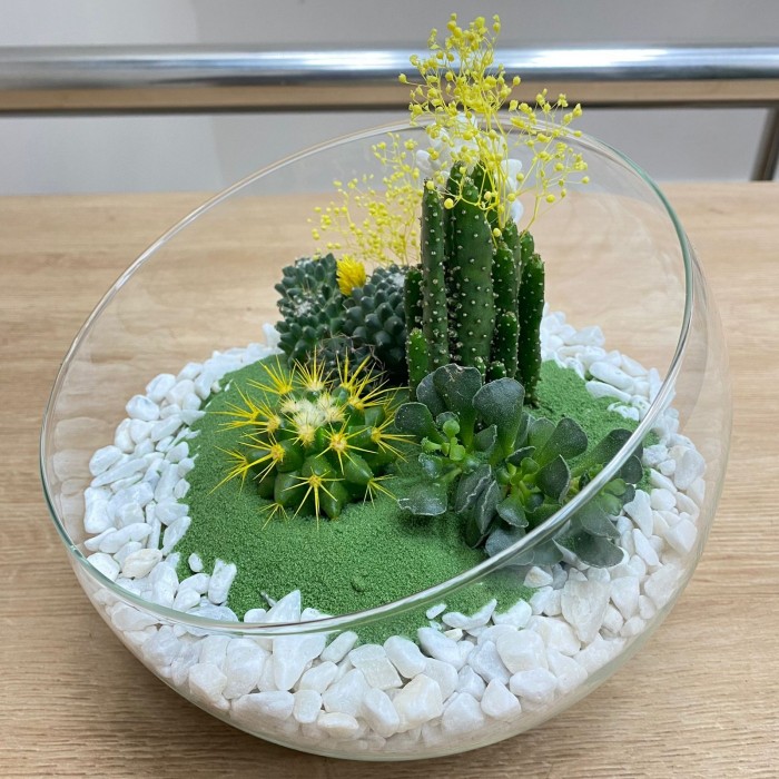 Флорариум с кактусами и суккулентами