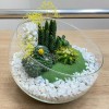 Флорариум с кактусами и суккулентами