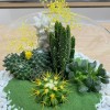 Флорариум с кактусами и суккулентами