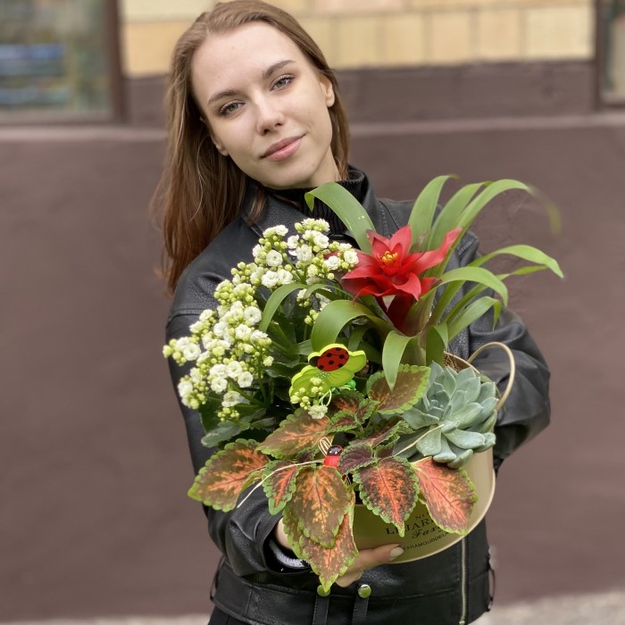 Композиция из каланхоэ и гузмании в металлическом кашпо