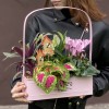 Композиция с цикламеном и колеусом в металлическом кашпо