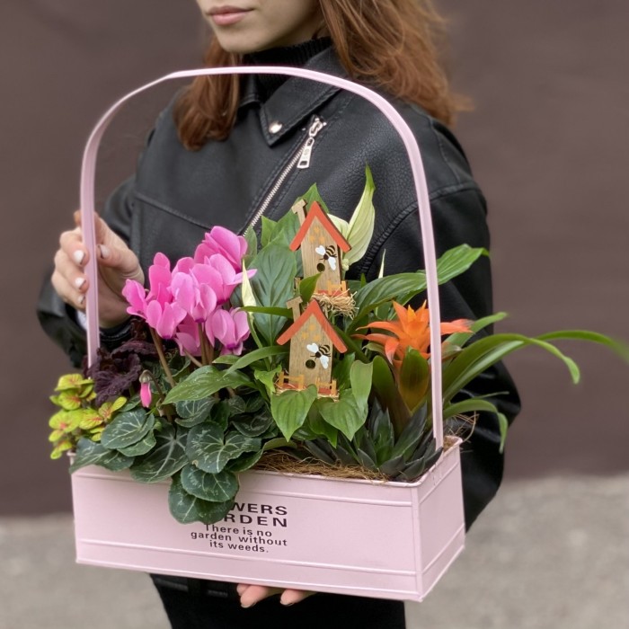 Композиция с цикламеном и спатифиллумом в металлическом кашпо