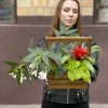 Композиция с бегонией и гузманией в деревянном кашпо