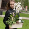 Композиция с орхидеей фаленопсис и спатифиллумом в металлическом кашпо