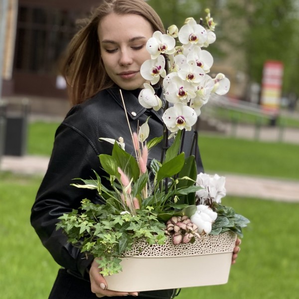 Композиция с орхидеей фаленопсис и спатифиллумом в металлическом кашпо