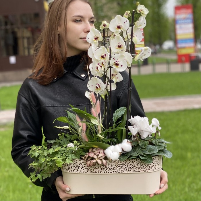 Композиция с орхидеей фаленопсис и спатифиллумом в металлическом кашпо