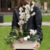 Композиция с орхидеей фаленопсис и спатифиллумом в металлическом кашпо