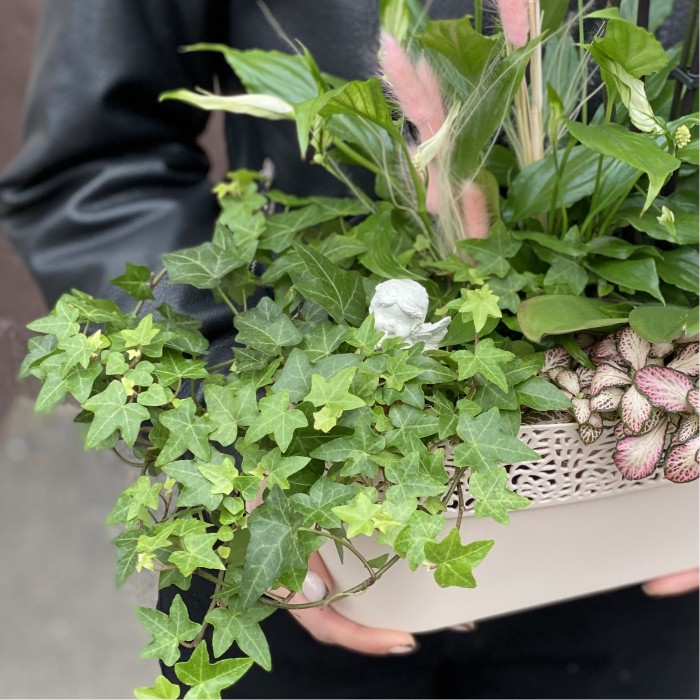 Композиция с орхидеей фаленопсис и спатифиллумом в металлическом кашпо