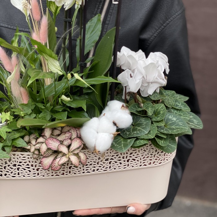 Композиция с орхидеей фаленопсис и спатифиллумом в металлическом кашпо