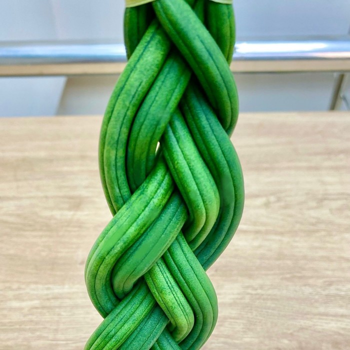 Сансевиерия цилиндрическая Косичка