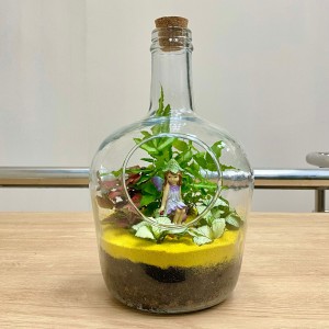 Флорариум  Фея