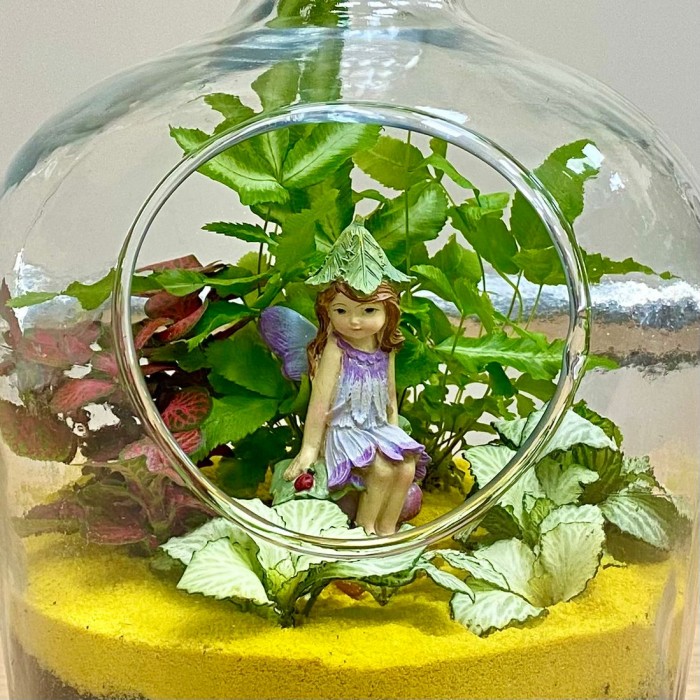 Флорариум  Фея