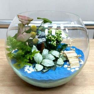 Флорариум  Голубая лагуна