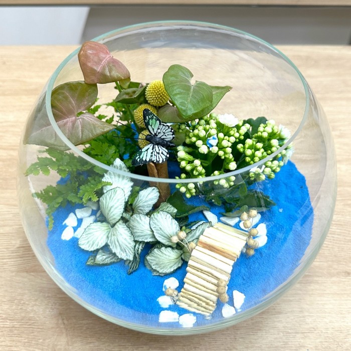 Флорариум  Голубая лагуна