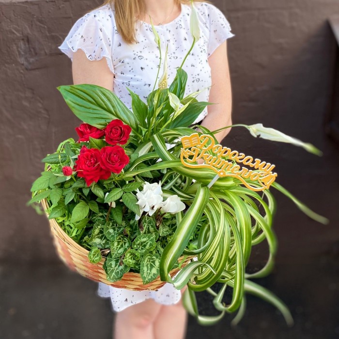 Композиция Дорогому учителю