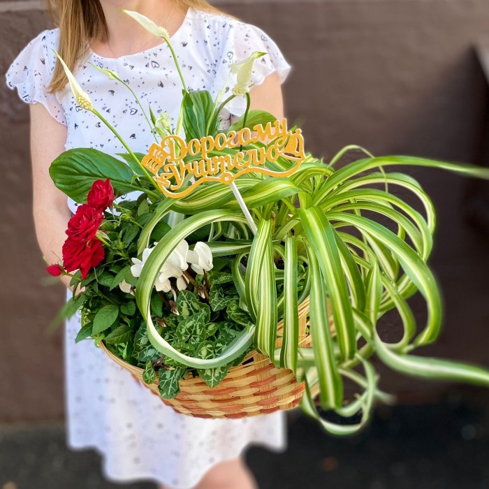 Композиция Дорогому учителю