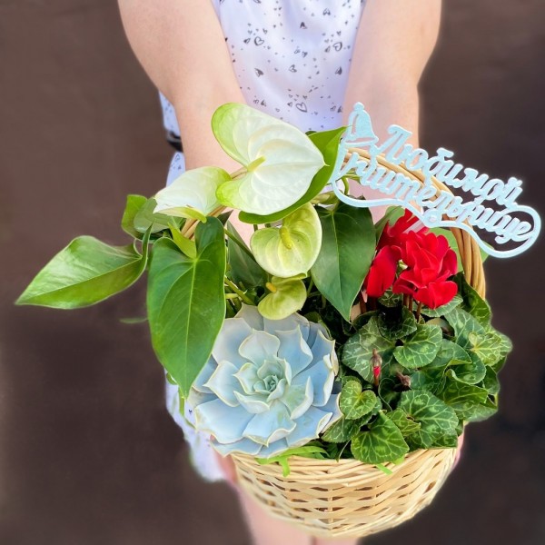 Композиция Любимой учительнице