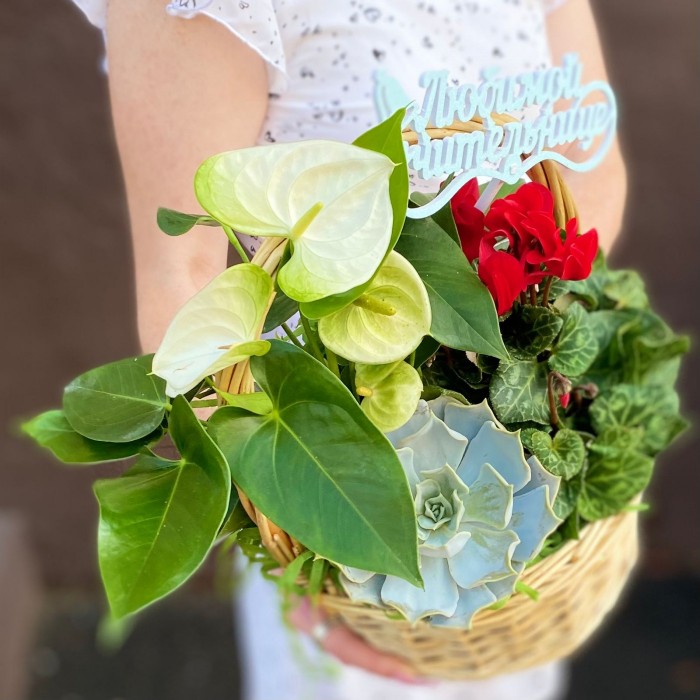 Композиция Любимой учительнице