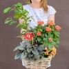 Композиция с фикусом Бенджамина