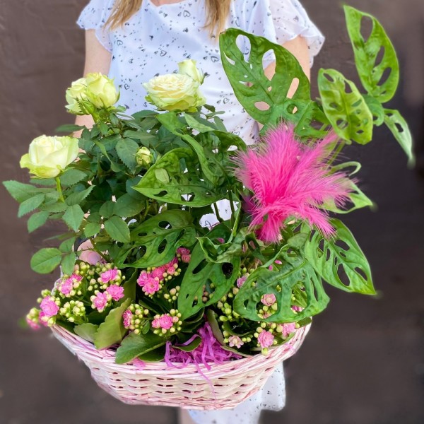 Композиция с монстерой в корзине