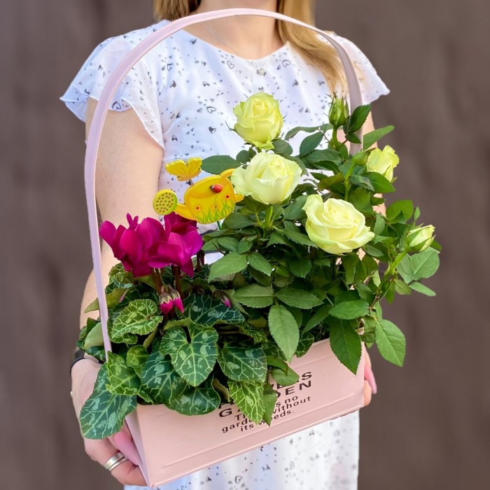 Композиция с розой и цикламеном в металлическом кашпо