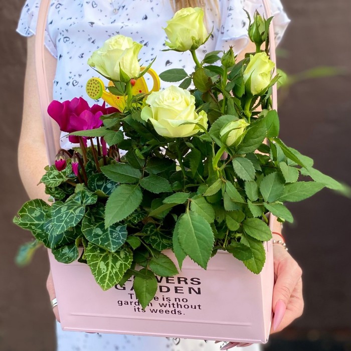 Композиция с розой и цикламеном в металлическом кашпо