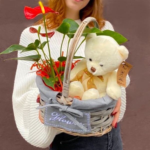 Композиция с антуриумом и мишкой в корзине