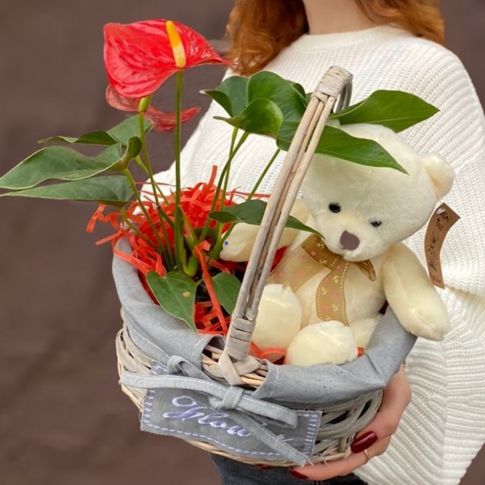 Композиция с антуриумом и мишкой в корзине